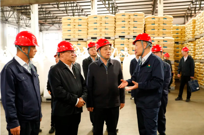 譚國棟蒞臨公司調(diào)研指導(dǎo) 為公司高質(zhì)量發(fā)展把脈支招